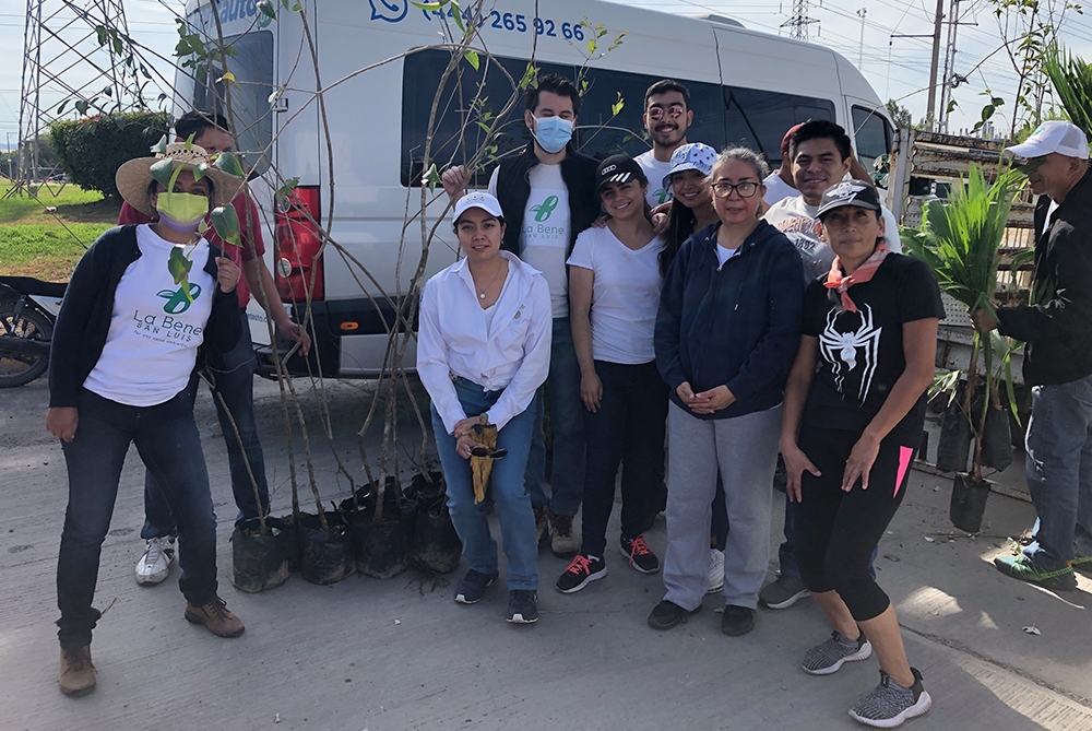 Programa de reforestación