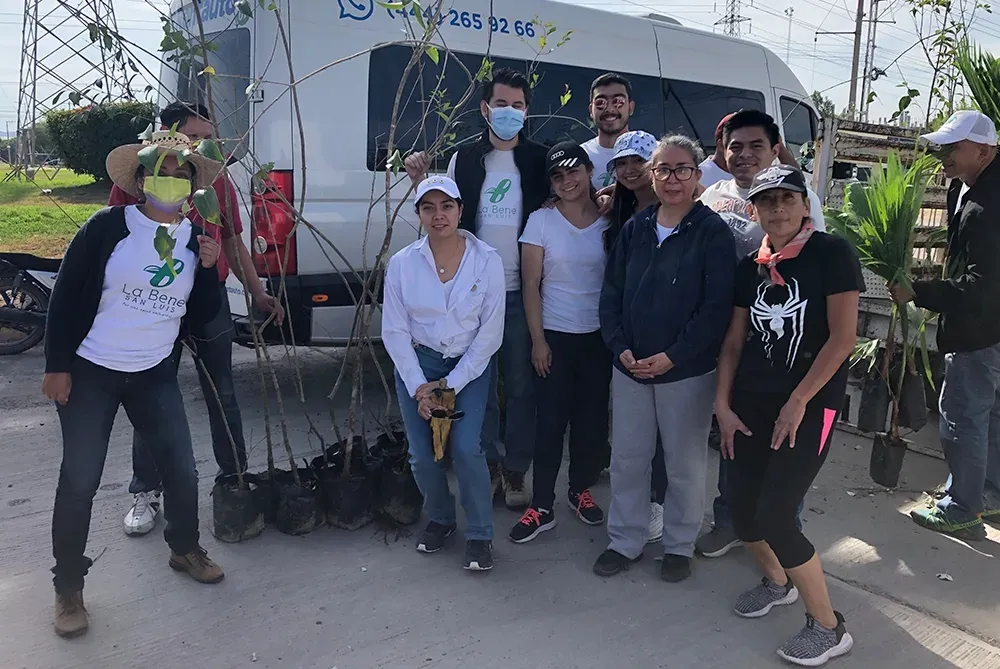 Programa de reforestación